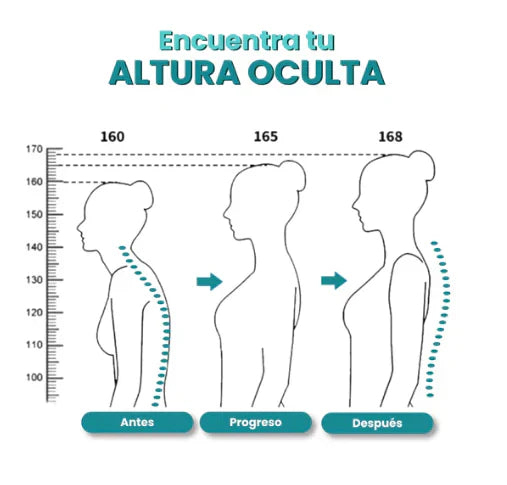 Corrector de Postura MaxPosture